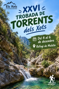 Trobada de torrents 2026